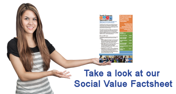 social values factsheet
